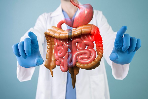 A importância do intestino saudável