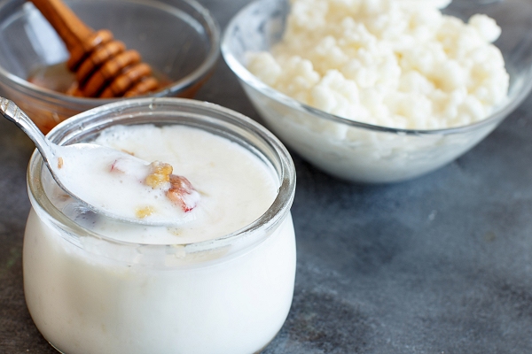 Conheça os probióticos e sua importância na alimentação
