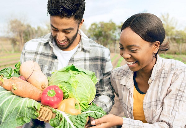 Por que consumir alimentos orgânicos?
